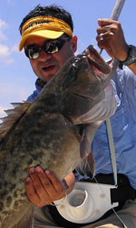 Grouper jitterbel cancun